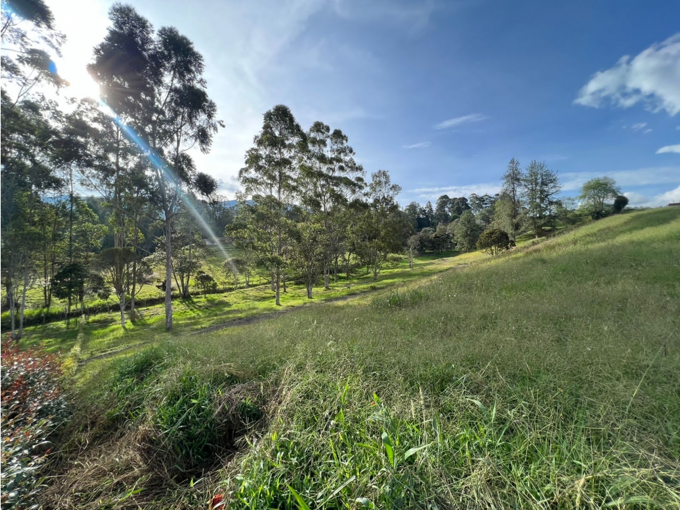 -1BR Land in Los salados (2500 m²) for Sale - 4