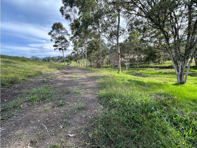 Lote en venta en Los Salados, El Retiro, 2500 m² · foto 6 de 24