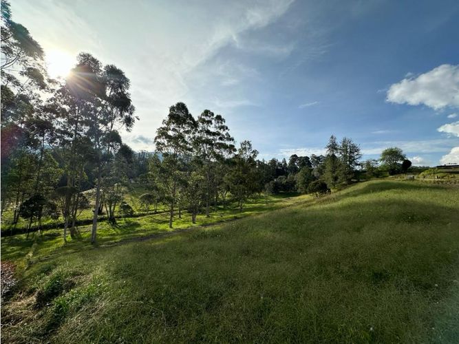 Lote en venta en Los Salados, El Retiro, 2500 m² · foto 7 de 24
