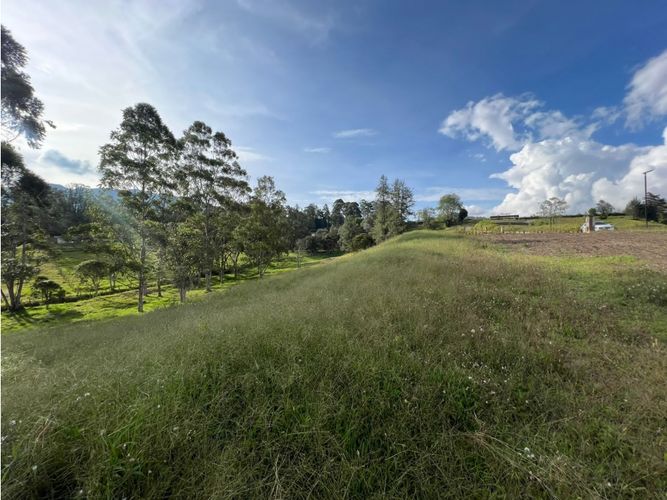 Lote en venta en Los Salados, El Retiro, 2500 m² · foto 8 de 24