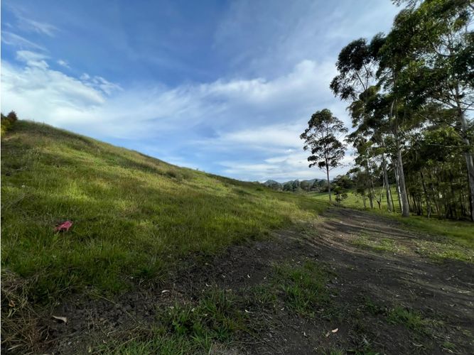 Lote en venta en Los Salados, El Retiro, 2500 m² · foto 9 de 24