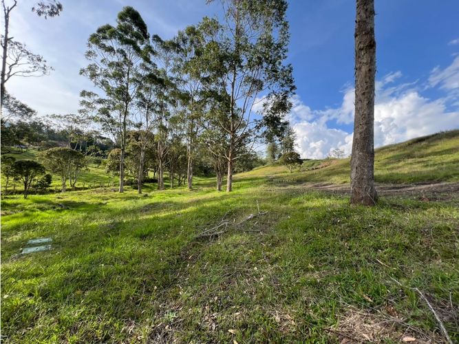 Lote en venta en Los Salados, El Retiro, 2500 m² · foto 10 de 24
