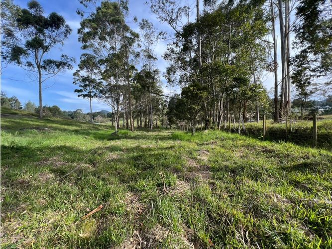 Lote en venta en Los Salados, El Retiro, 2500 m² · foto 11 de 24