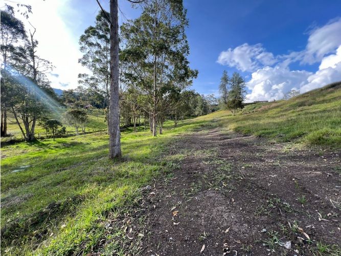 Lote en venta en Los Salados, El Retiro, 2500 m² · foto 12 de 24