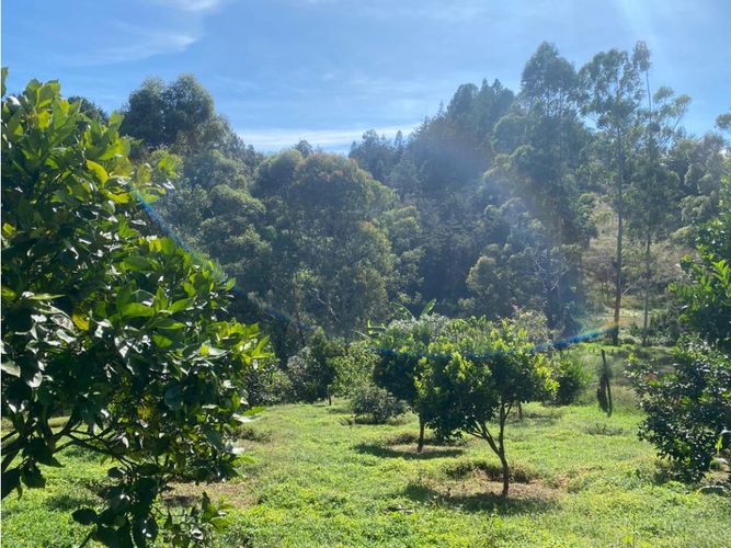 Casa de 3 alcobas en venta en Barro Blanco, Rionegro, 220 m² · foto 5 de 24