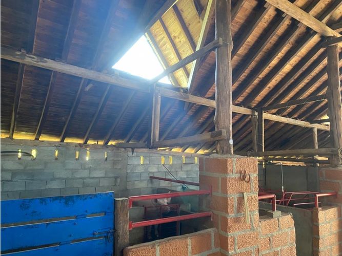 Casa de 3 alcobas en venta en Barro Blanco, Rionegro, 220 m² · foto 13 de 24