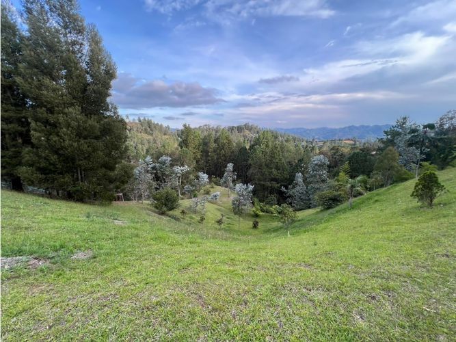 Lote en venta en Los Salados, El Retiro, 11190 m² · foto 4 de 24