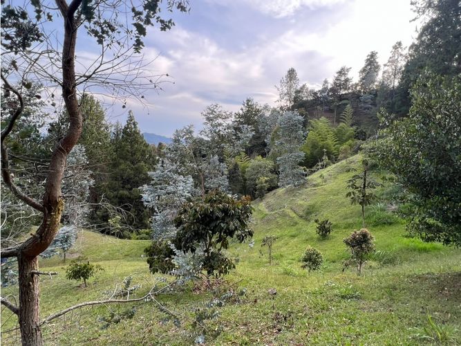 Lote en venta en Los Salados, El Retiro, 11190 m² · foto 18 de 24