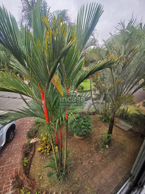 Casa en venta en Ciudad Country, Jamundí, 135 m² · foto 14 de 24