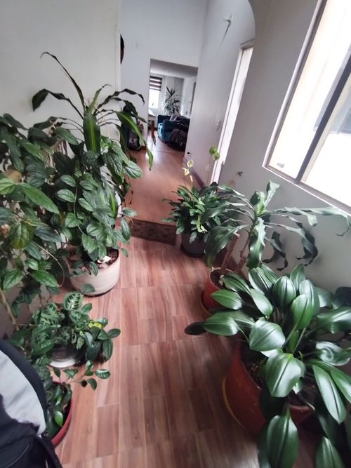 Casa de 4 alcobas en venta en Lago Gaitan, Bogotá, 251 m² · foto 8 de 16