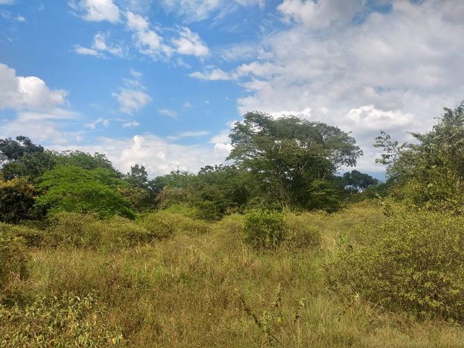 Finca en venta en El Carrizal, Girón, 20000 m² · foto 4 de 10
