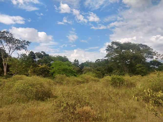 Finca en venta en El Carrizal, Girón, 20000 m² · foto 5 de 10