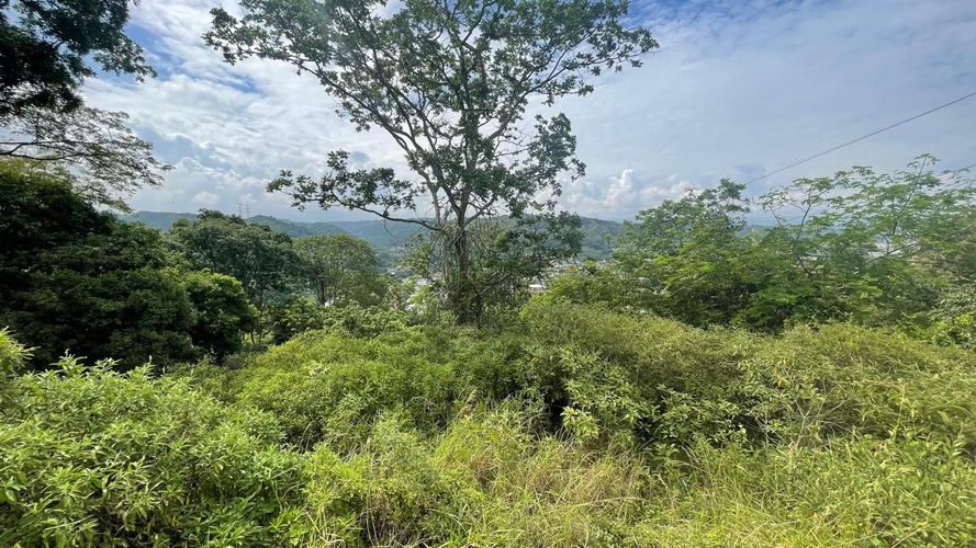 Finca en venta en El Carrizal, Girón, 20000 m² · foto 8 de 10