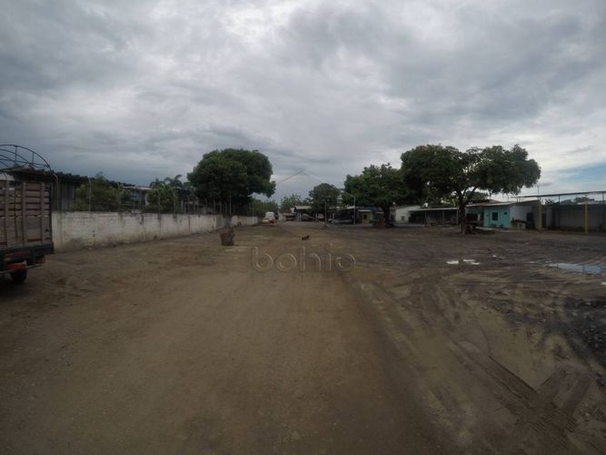 Lote en arriendo en Buenavista, Montería, 2900 m² · foto 2 de 10