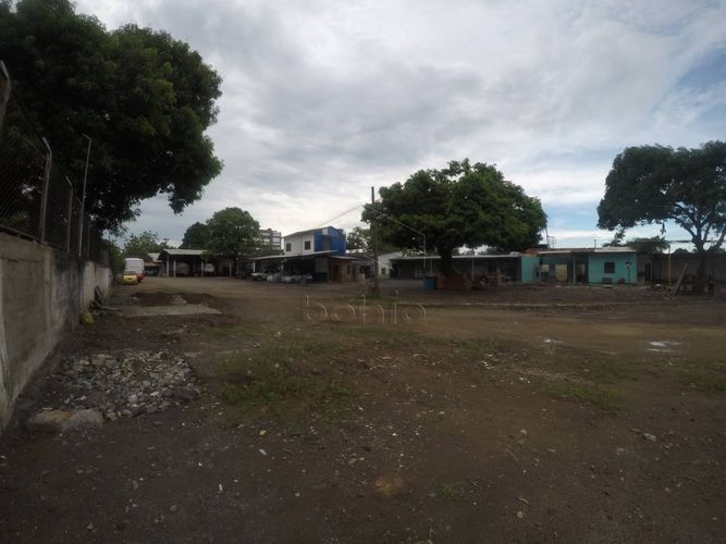 Lote en arriendo en Buenavista, Montería, 2900 m² · foto 9 de 10