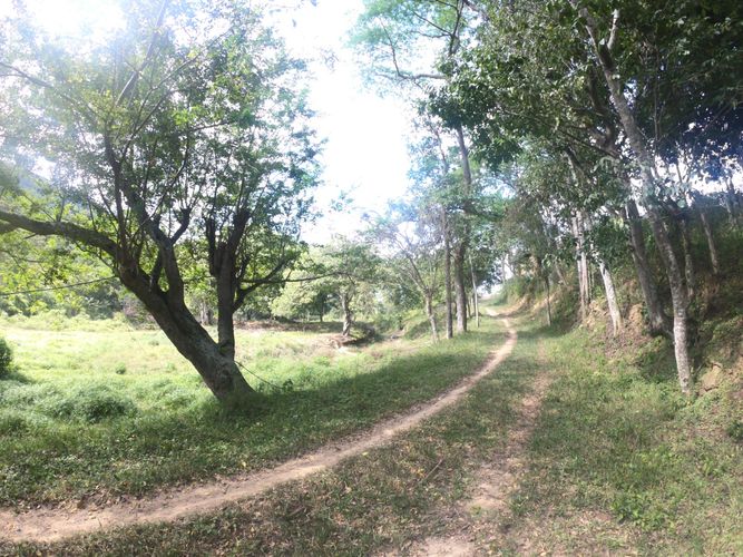 Finca en venta en El Carrizal, Girón, 40000 m² · foto 2 de 8