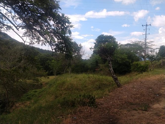 Finca en venta en El Carrizal, Girón, 40000 m² · foto 4 de 8