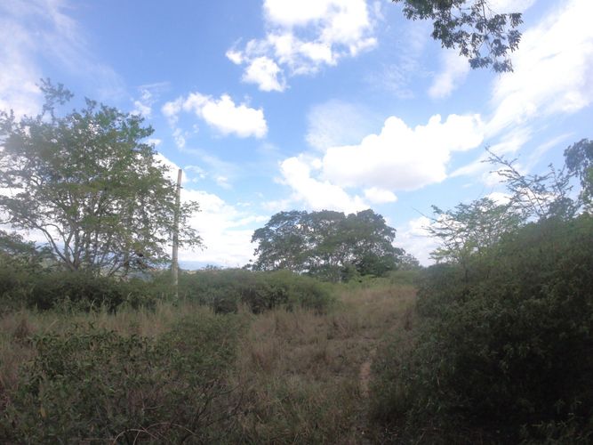 Finca en venta en El Carrizal, Girón, 40000 m² · foto 5 de 8