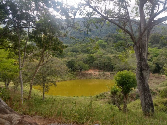 Finca en venta en El Carrizal, Girón, 40000 m² · foto 6 de 8