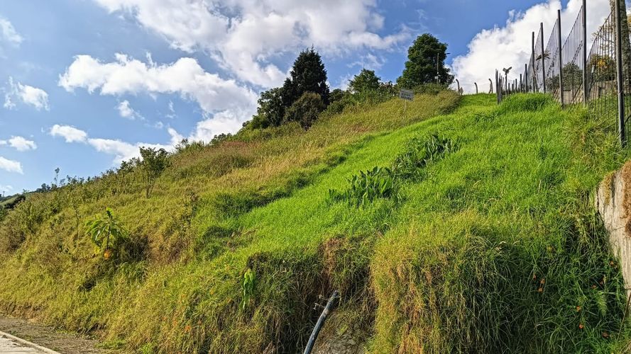 Lote en venta en Malteria, Manizales, 1000 m² · foto 4 de 13