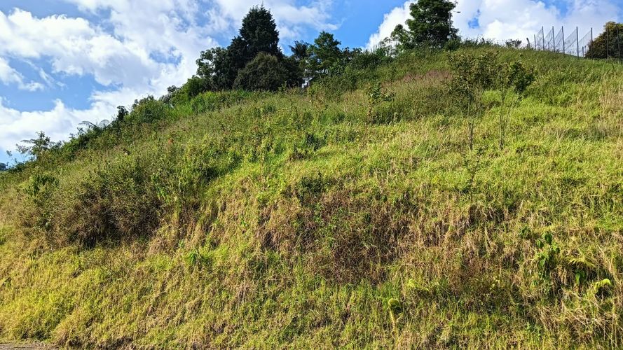Lote en venta en Malteria, Manizales, 1000 m² · foto 5 de 13