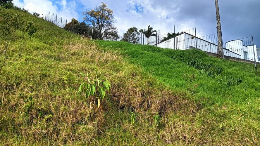 Lote en venta en Malteria, Manizales, 1000 m² · foto 6 de 13