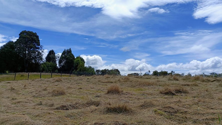 Lote en venta en Yerbabuena, Chía, 3007 m² · foto 12 de 14