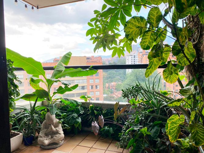 Apartamento de 3 alcobas en arriendo en El Poblado, Medellín, 117 m² · foto 16 de 16