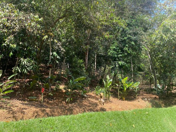 Casa de 5 alcobas en venta en Pance, Cali, 663 m² · foto 6 de 24