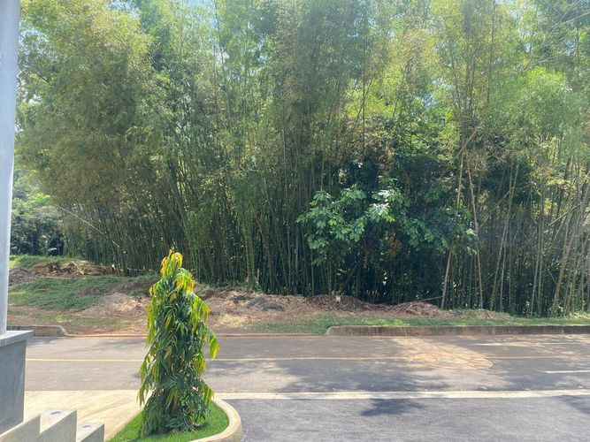 Casa de 5 alcobas en venta en Pance, Cali, 663 m² · foto 24 de 24