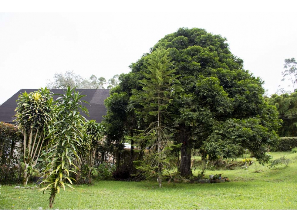 Casa en venta en Tribunas Corcega, Pereira · foto 17 de 17