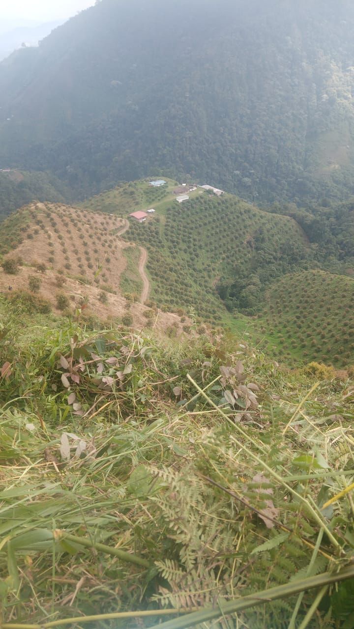 Finca en venta en Santuario - Miniatura 3