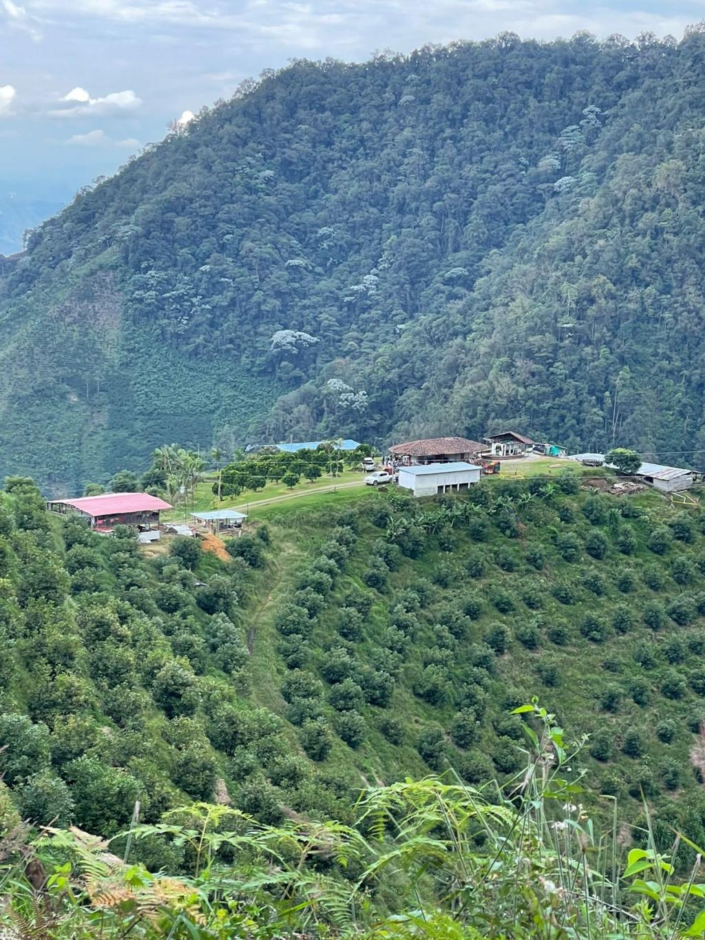 Finca en venta en Santuario - Miniatura 20