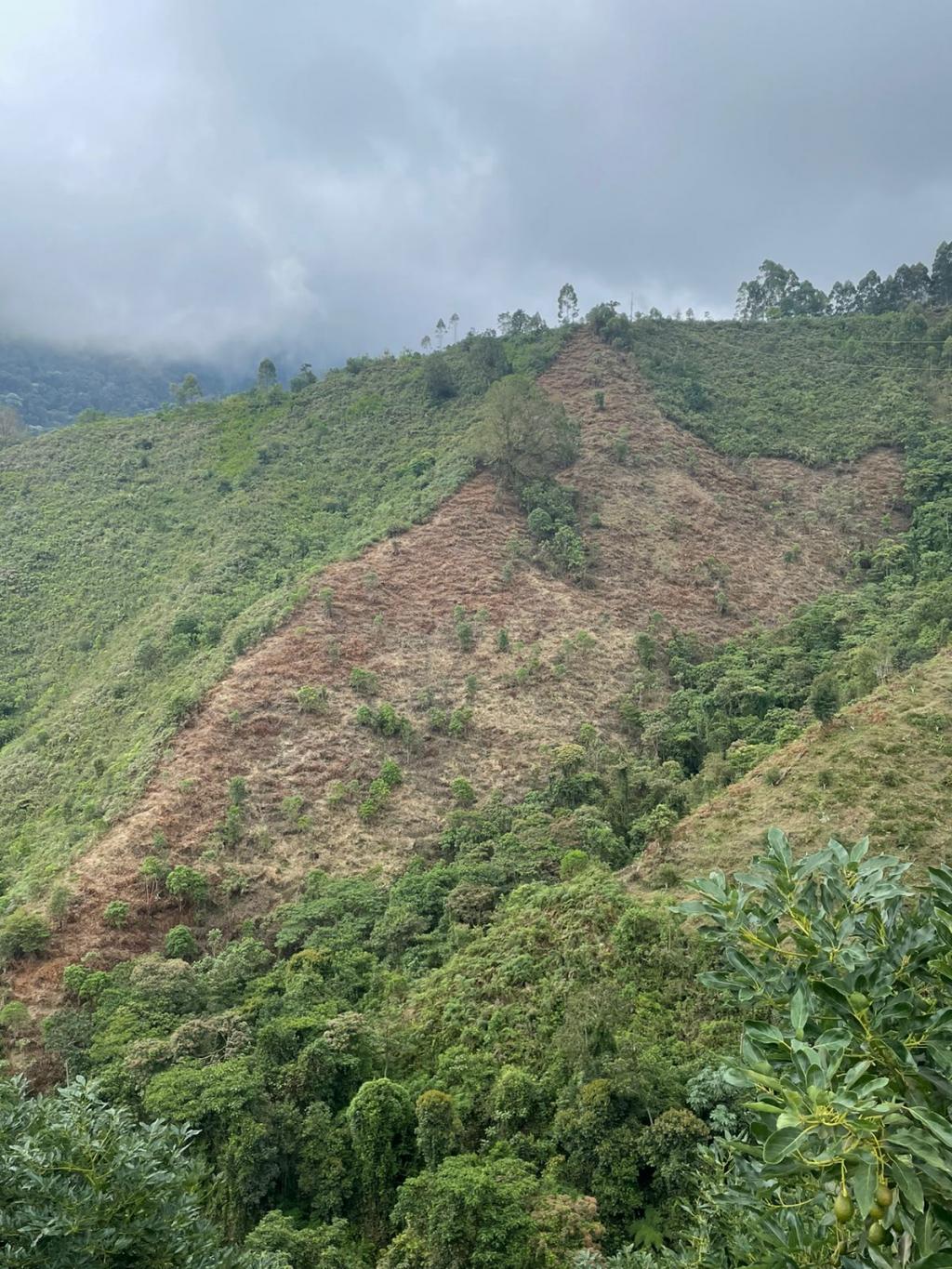 Finca en venta en Santuario - Miniatura 25