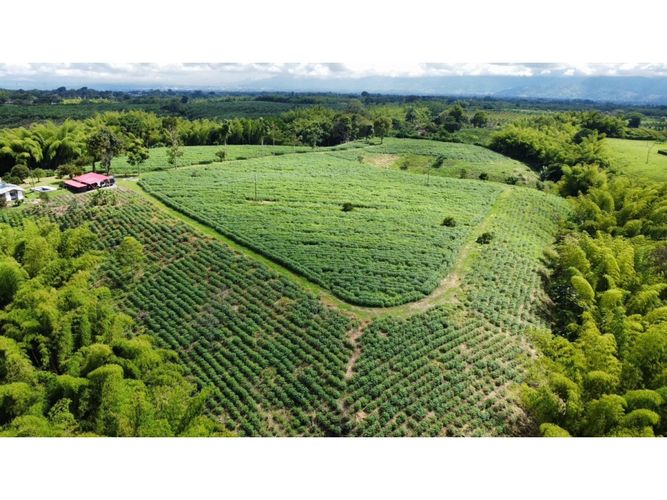 Finca en venta en El Cinco, Armenia, 500 m² · foto 3 de 24