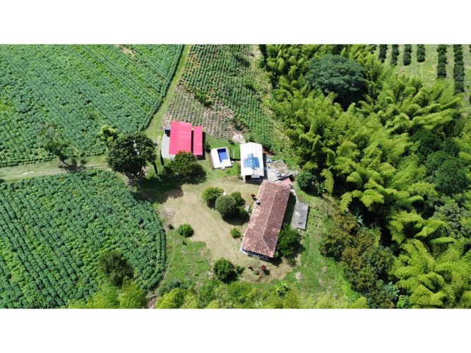 Finca en venta en El Cinco, Armenia, 500 m² · foto 4 de 24