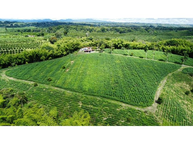 Finca en venta en El Cinco, Armenia, 500 m² · foto 5 de 24