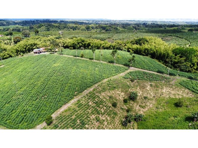 Finca en venta en El Cinco, Armenia, 500 m² · foto 6 de 24