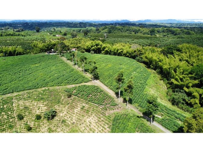 Finca en venta en El Cinco, Armenia, 500 m² · foto 7 de 24