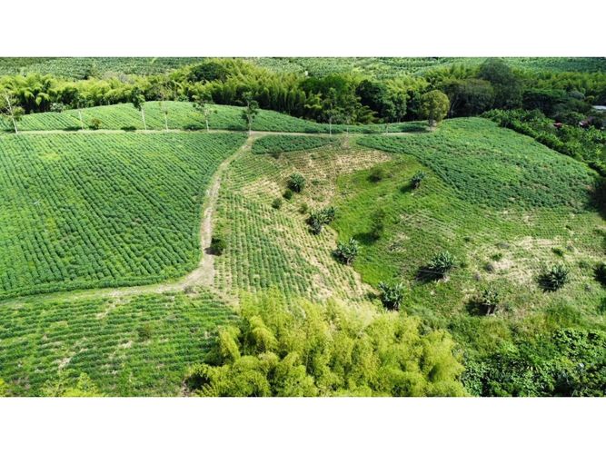 Finca en venta en El Cinco, Armenia, 500 m² · foto 8 de 24