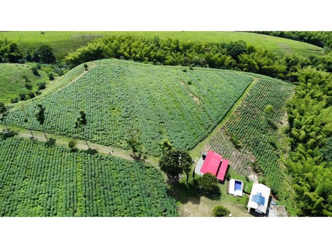 Finca en venta en El Cinco, Armenia, 500 m² · foto 9 de 24