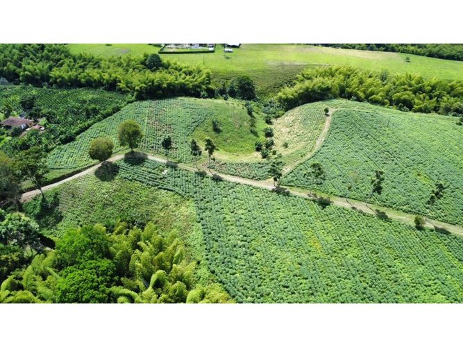 Finca en venta en El Cinco, Armenia, 500 m² · foto 10 de 24