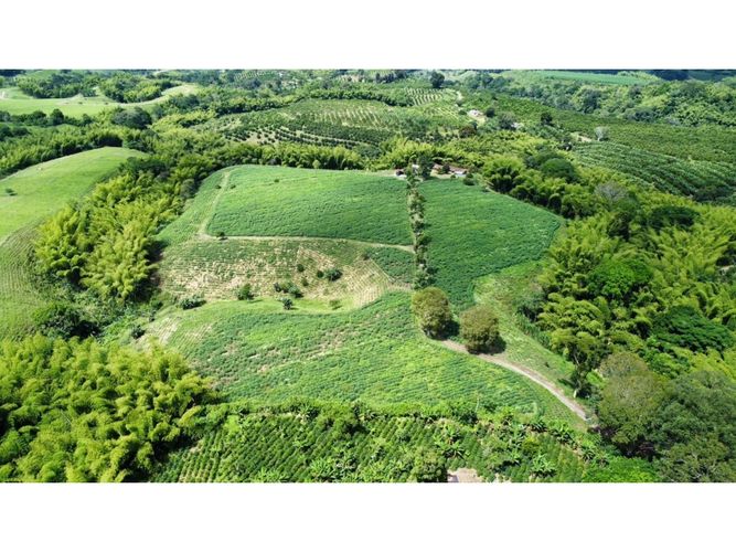 Finca en venta en El Cinco, Armenia, 500 m² · foto 12 de 24