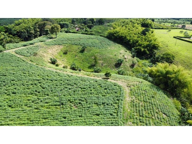 Finca en venta en El Cinco, Armenia, 500 m² · foto 15 de 24