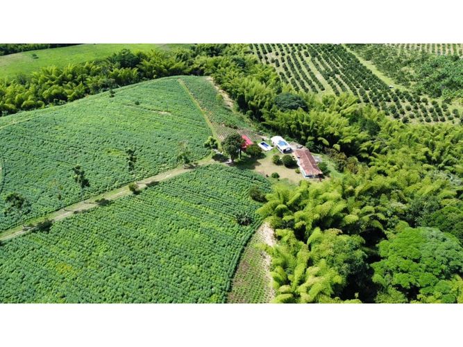 Finca en venta en El Cinco, Armenia, 500 m² · foto 16 de 24