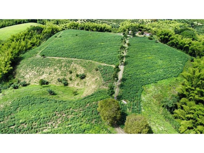 Finca en venta en El Cinco, Armenia, 500 m² · foto 17 de 24