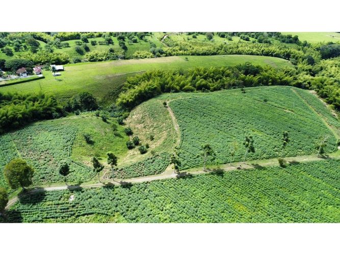 Finca en venta en El Cinco, Armenia, 500 m² · foto 19 de 24