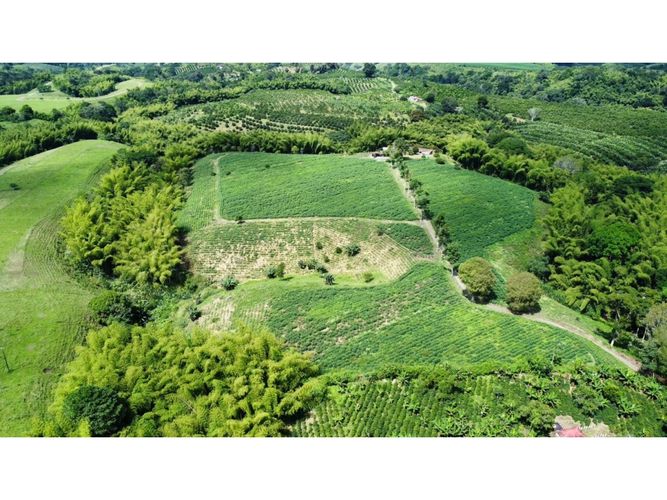 Finca en venta en El Cinco, Armenia, 500 m² · foto 20 de 24