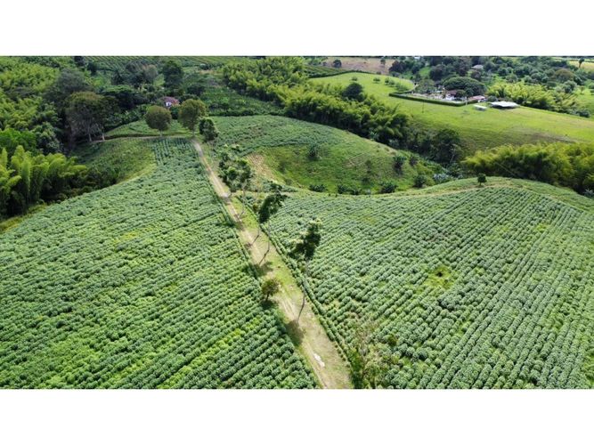 Finca en venta en El Cinco, Armenia, 500 m² · foto 21 de 24