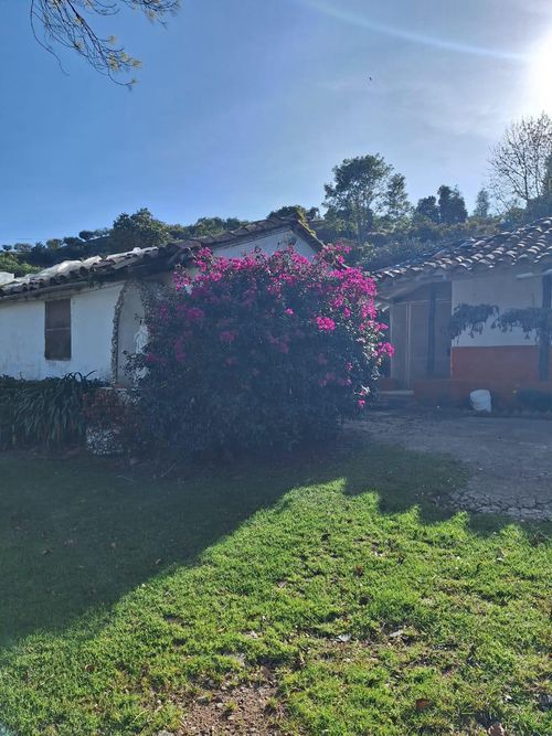 Lote en venta en Guarne, 300 m² · foto 5 de 6